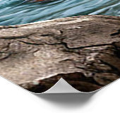 Poster Beau paysage de cascade (Coin)