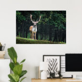 Poster Beau paysage naturel de cerfs en jachère (Bureau à domicile)