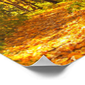 Poster Beau Paysage - Route En Forêt D'Automne (Coin)