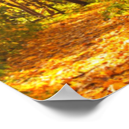 Poster Beau Paysage - Route En Forêt D'Automne (Coin)