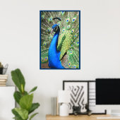 Poster Beau Peacock (Bureau à domicile)