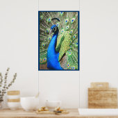 Poster Beau Peacock (Cuisine)