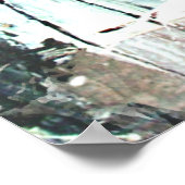 Poster Beau perroquet (Coin)