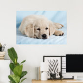 Poster Beau Petit Chiot (Bureau à domicile)