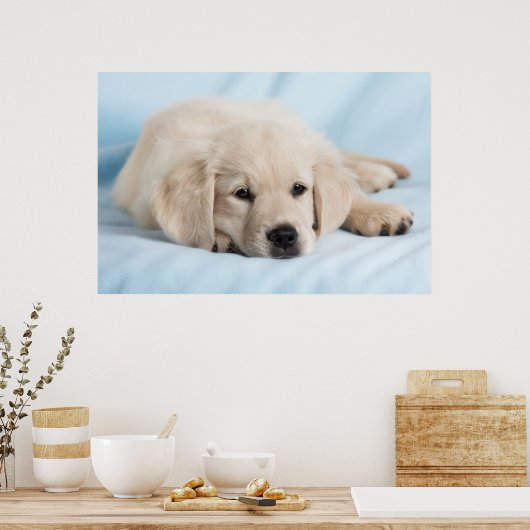 Poster Beau Petit Chiot (Cuisine)