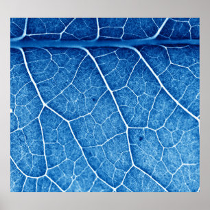 Poster Beau Plante Closeup Texture Arrière - plan