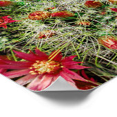 Poster Beau Plante de cactus à fleurs rouges (Coin)