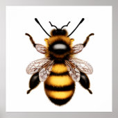 Poster Beau Portrait d'abeille (Devant)