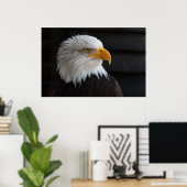 Poster Beau portrait d'aigle chauve (Bureau à domicile)