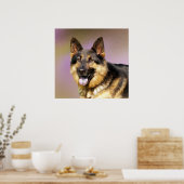 Poster Beau portrait de chien berger allemand (Cuisine)