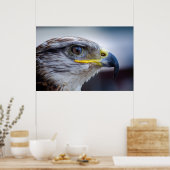 Poster Beau portrait de faucon (Cuisine)