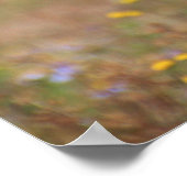 Poster Beau portrait de guépard (Coin)