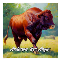 Beau Red Angus Bull