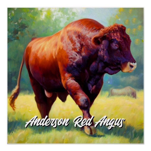 Poster Beau Red Angus Bull (Devant)