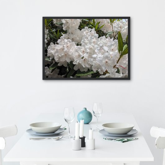 Poster Beau Rhododendron blanc fleurit Floral