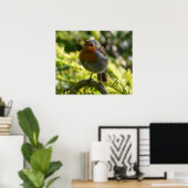 Poster Beau Robin (Bureau à domicile)