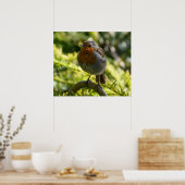 Poster Beau Robin (Cuisine)