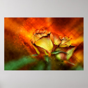 Poster Beau Rose