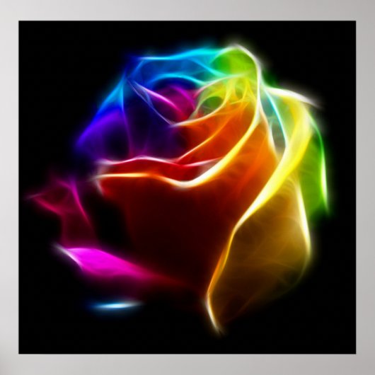 Poster Beau Rose de couleurs No2 (Devant)