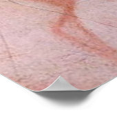 POSTER BEAU SAUVEUR (Coin)