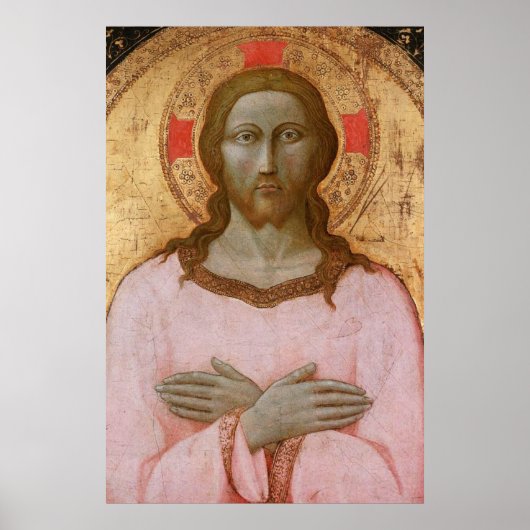 POSTER BEAU SAUVEUR (Devant)