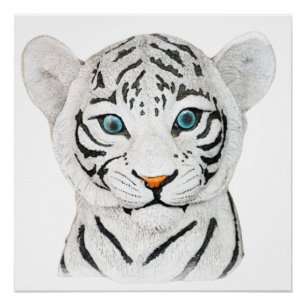 Poster Beau Tigre Blanc Avec Yeux Bleus
