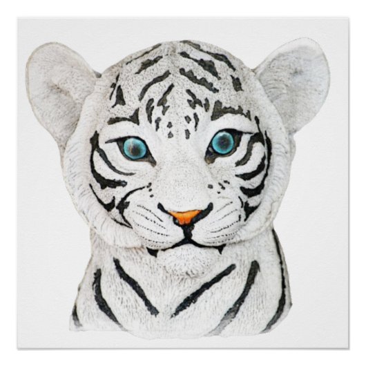 Poster Beau Tigre Blanc Avec Yeux Bleus (Devant)