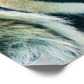 Poster Beau visage de tigre en profil (Coin)