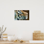 Poster Beau visage de tigre en profil (Cuisine)