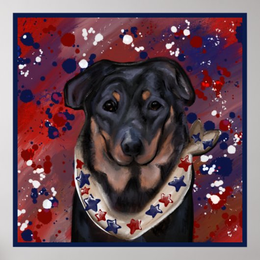 Poster Beauceron (Devant)