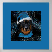 Poster Beauceron (Devant)