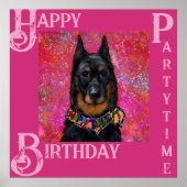 Poster Beauceron (Devant)