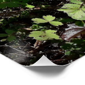 Poster Beaucoup de fleurs (Coin)