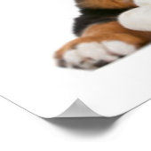 Poster Beaucoup De Marionnettes (Coin)