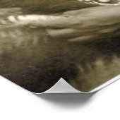 Poster Beaucoup de Whiskers (Coin)