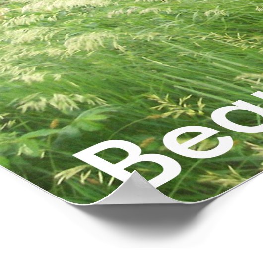 Poster Beauté (Coin)