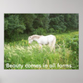 Poster Beauté (Devant)