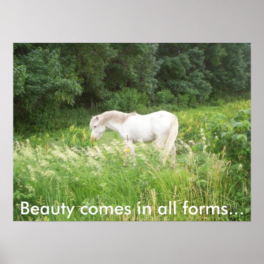 Poster Beauté (Devant)