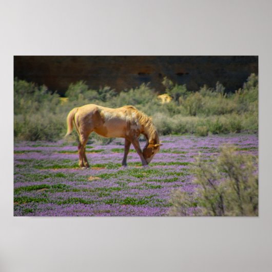 Poster Beauté (Devant)
