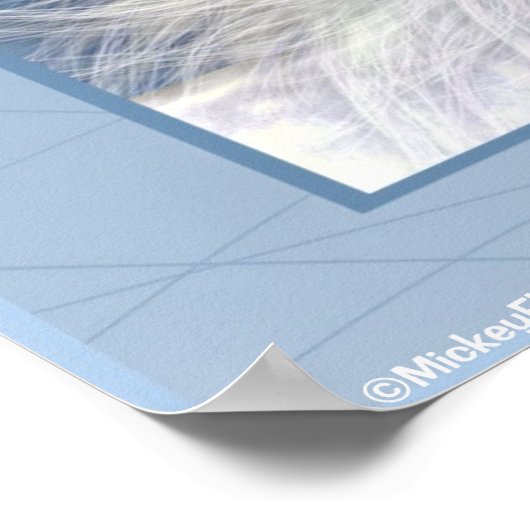 Poster Beauté blanche de licorne (Coin)