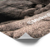 Poster Beauté blanche de licorne (Coin)