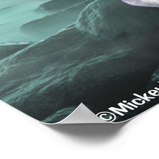 Poster Beauté blanche de licorne (Coin)