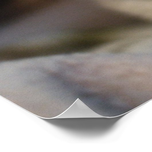 Poster Beauté Blue Eyed (Coin)