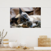 Poster Beauté Blue Eyed (Cuisine)