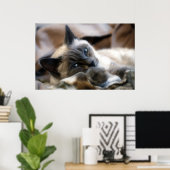 Poster Beauté Blue Eyed (Bureau à domicile)