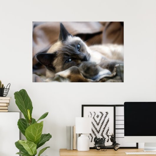 Poster Beauté Blue Eyed (Bureau à domicile)