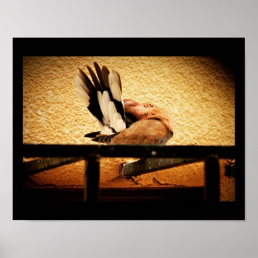 Poster Beauté cachée (Devant)