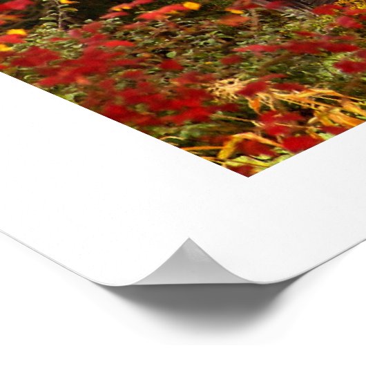 Poster Beauté cachée. (Coin)