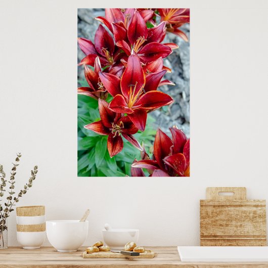 Poster Beauté canadienne, Floral Red Stargazer Lily (Cuisine)