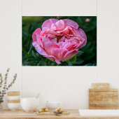 Poster Beauté canadienne, tourbe rose florale (Cuisine)